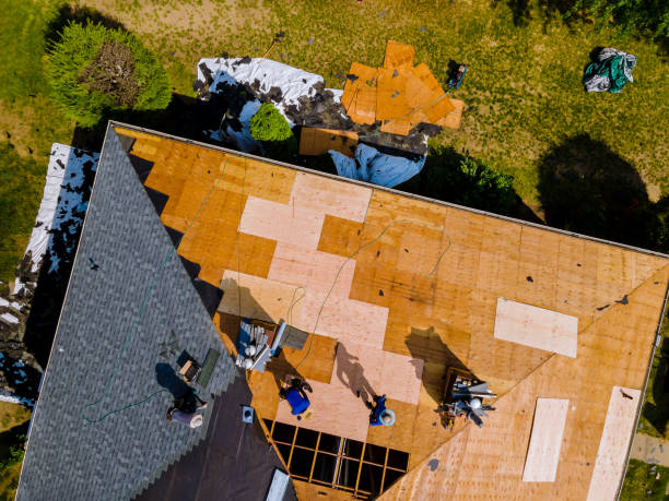 Best Commercial Roofing Services  in Cedaredge, CO